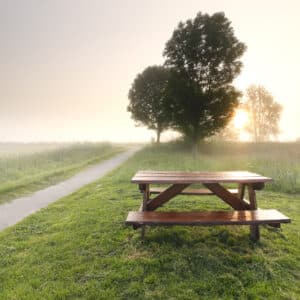 Picnic Table