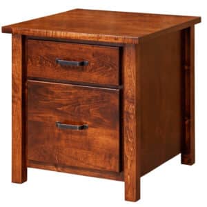 Eshton Low File Cabinet