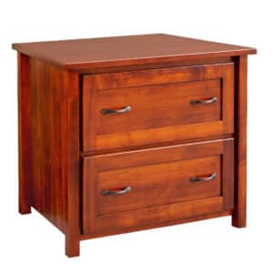 Shelton Lateral File